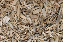 biomass boilers Rhosycaerau
